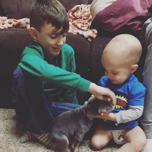 Meet your Posher, Carol